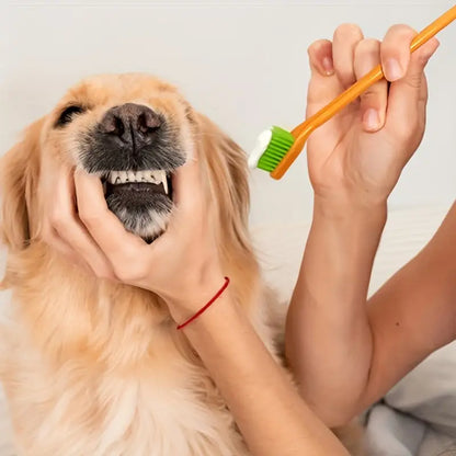 Kit de cepillos variados para dientes
