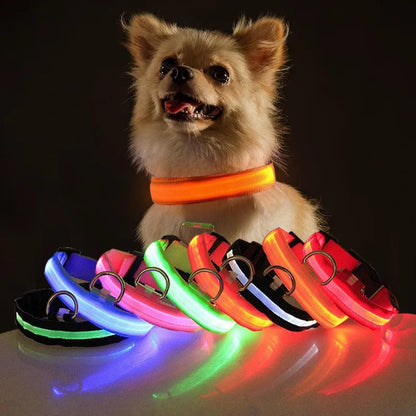 Collar LED con carga USB para perro ajustable