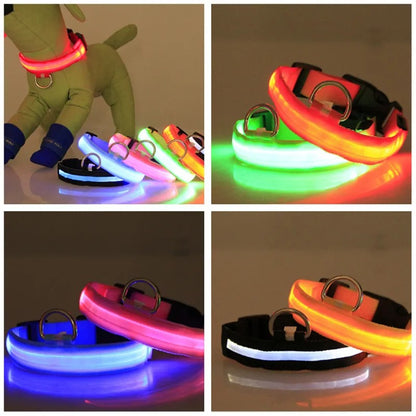 Collar LED con carga USB para perro ajustable