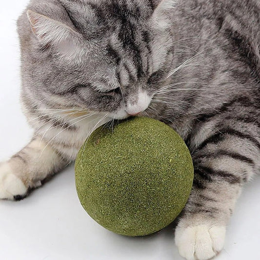 Pelota grande de hierba gatera (Catnip)