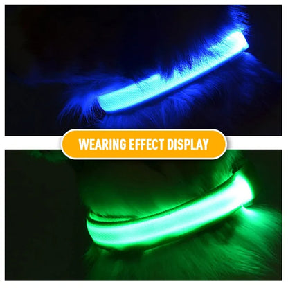 Collar LED con carga USB para perro ajustable