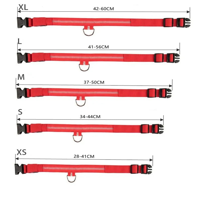 Collar LED con carga USB para perro ajustable