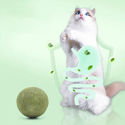 Pelota grande de hierba gatera (Catnip)