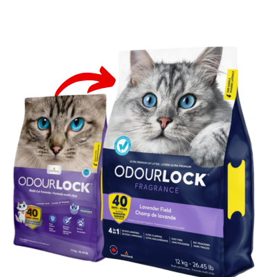 Arena para gato Odourlock Lavanda