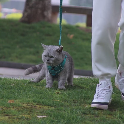 Arnés reflectante de malla transpirable para gatos