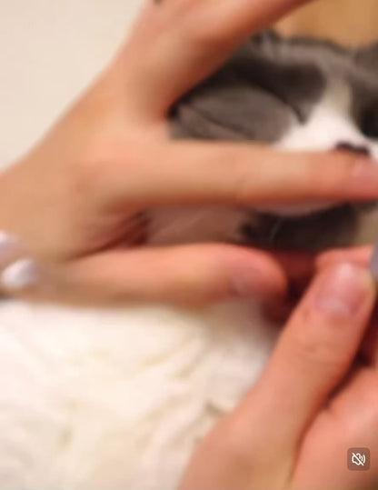 Cepillo dental pequeño para gatos