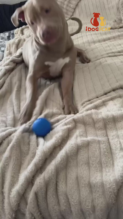 Pelota interactiva con movimiento