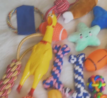 Set de juguetes variados para mascotas 9 pcs
