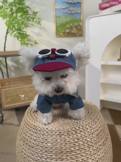 Gorra para mascotas petcircle GM03