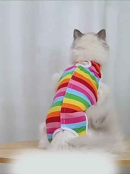 Traje de recuperación para gatos pequeños modelo #2