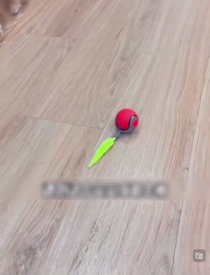 Pelota interactiva para gatos con pluma recargable