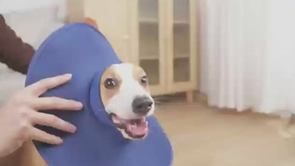 Collar Isabelino de tela impermeable para perros