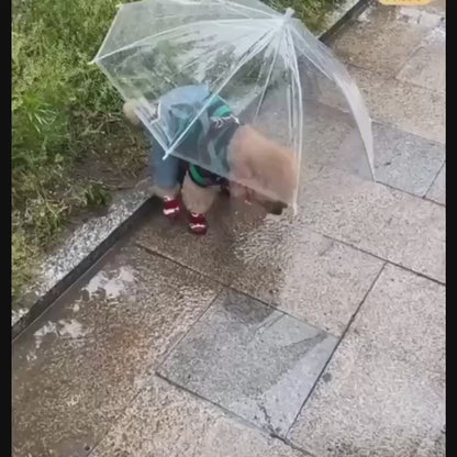Paraguas para mascotas pequeñas (70cm diametro)