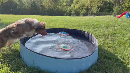 Piscina plegable para mascotas (Dos tamaños)