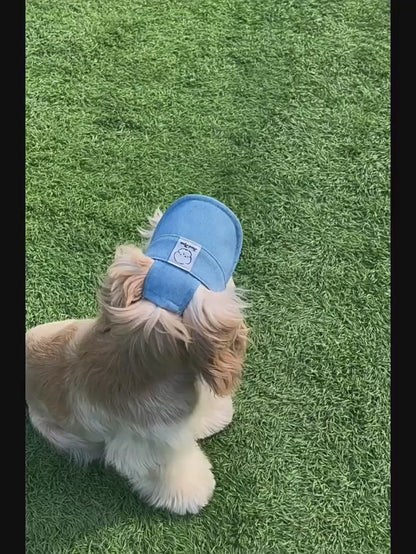 Sombrero jeans de verano para mascotas