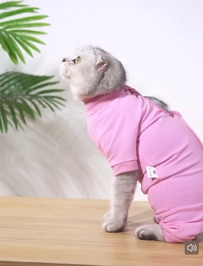 Traje de recuperación postoperatorio para gatos