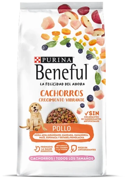 Comida para Perro Purina: Beneful, Cachorro Todos los Tamaños, Pollo 2KG