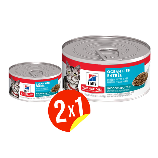 Comida Húmeda para Gato Hills: Adult Indoor 156gr