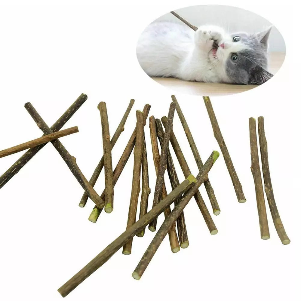 Palitos de matatabi para gatos