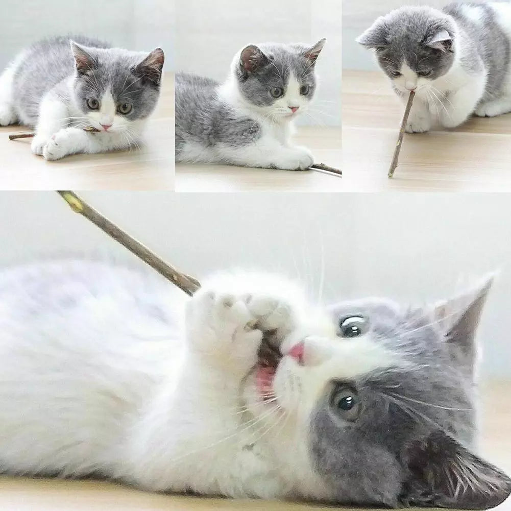Palitos de matatabi para gatos
