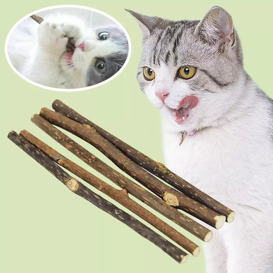 Palitos de matatabi para gatos