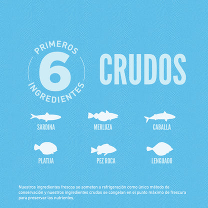 Comida para Gato Orijen: Six Fish 2kg