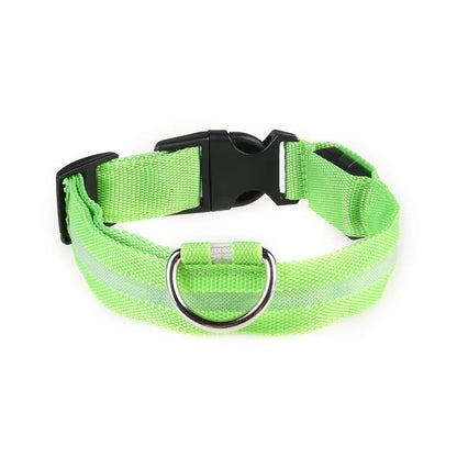 Collar LED con carga USB para perro ajustable