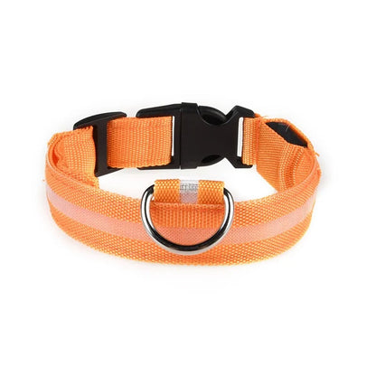 Collar LED con carga USB para perro ajustable