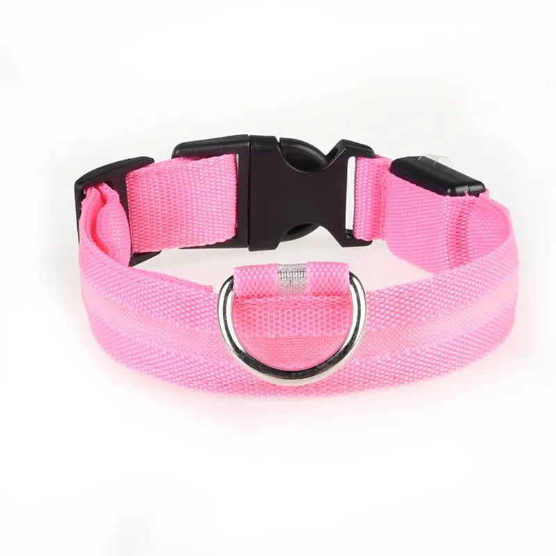 Collar LED con carga USB para perro ajustable