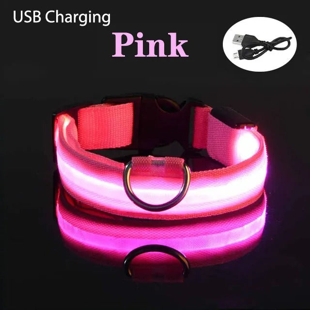 Collar LED con carga USB para perro ajustable