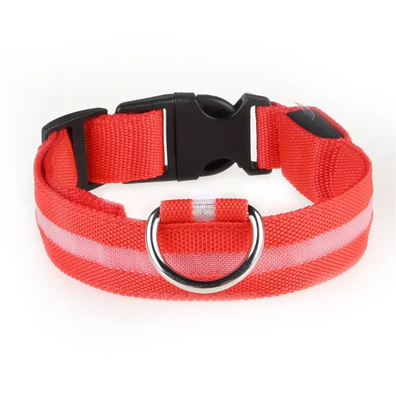 Collar LED con carga USB para perro ajustable