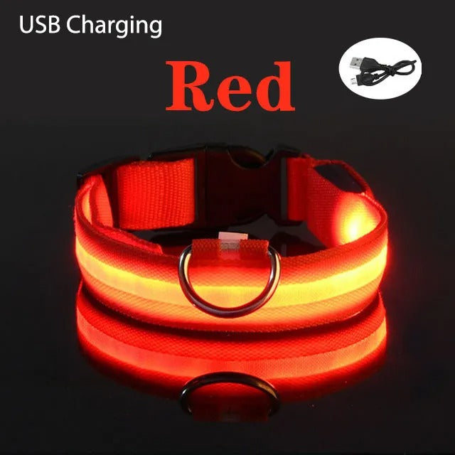 Collar LED con carga USB para perro ajustable