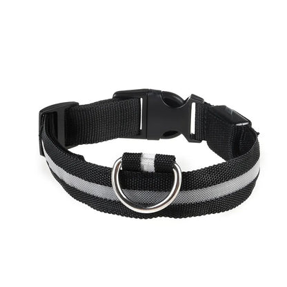 Collar LED con carga USB para perro ajustable