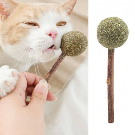 Paleta de Catnip prensado (Lollipop)