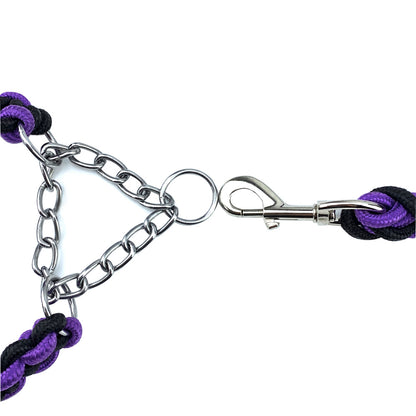 Cuerda de perro resistente con collar de nailon trenzado de entrenamiento para mascotas