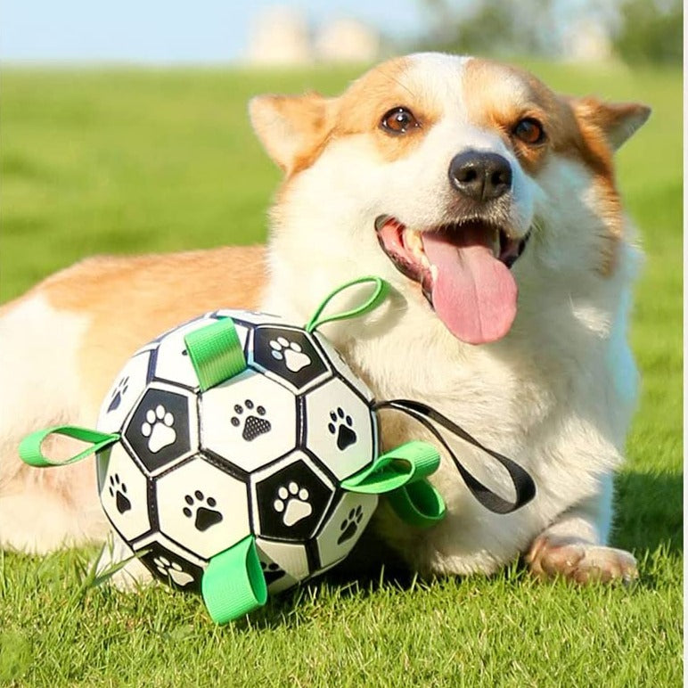 Pelota futboll pequeña resistente para perros