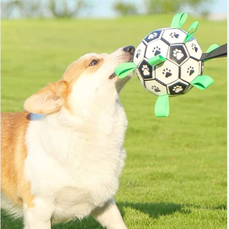 Pelota futboll pequeña resistente para perros