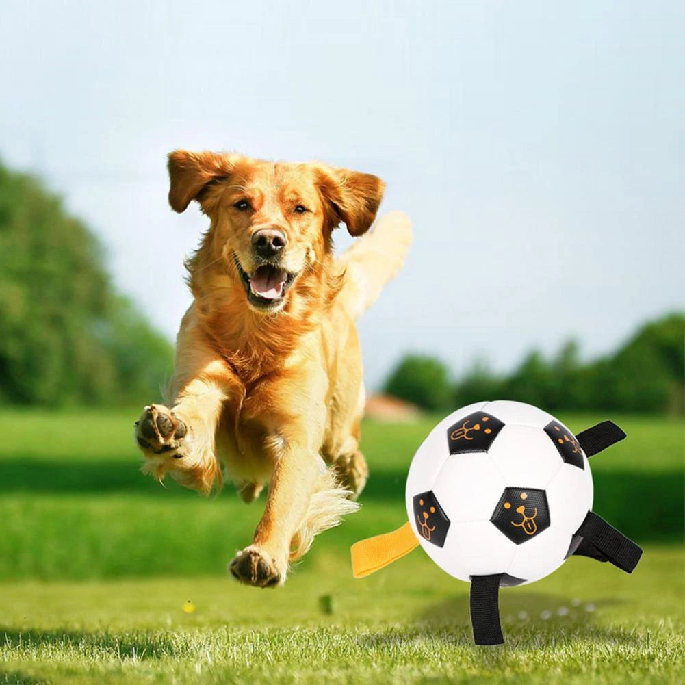 Pelota futboll grande resistente para perros