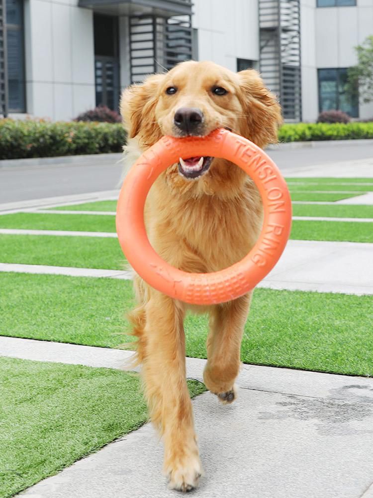 Disco volador interactivo para perros