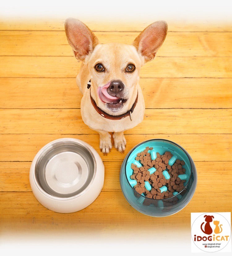 Plato alimentador lento para perros