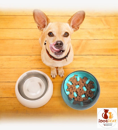 Plato alimentador lento para perros